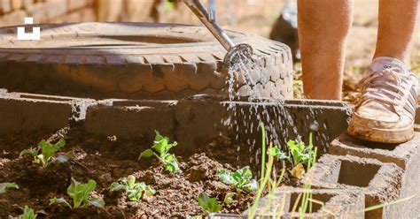 Illustration d'un arrosoir versant de l'eau sur une pelouse