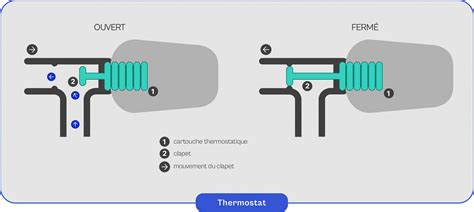 Photo macro d'un thermostat Ranco montrant les détails de fabrication et le raccordement du bulbe