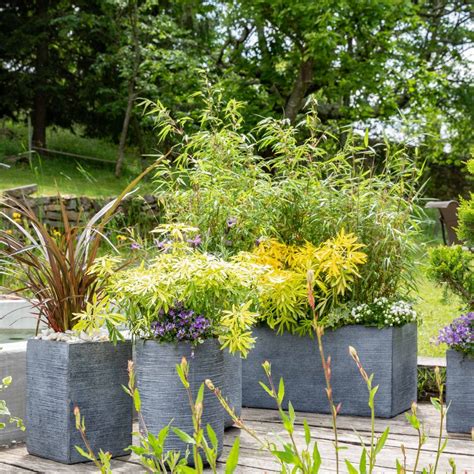 Pots et bacs décoratifs pour plantes événementielles