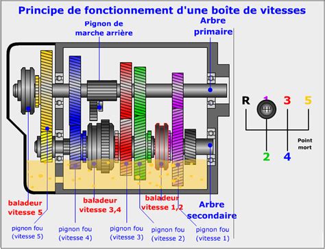 Schéma de la boîte de vitesses d'une motobineuse