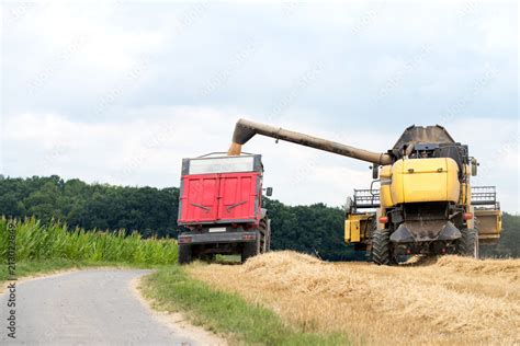 Moissonneuse-batteuse en action