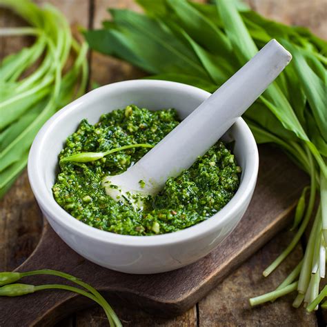 Pesto d'ail des ours fait maison