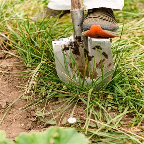 Paillage pour le contrôle des mauvaises herbes