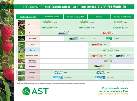 Calendrier de traitement naturel du framboisier