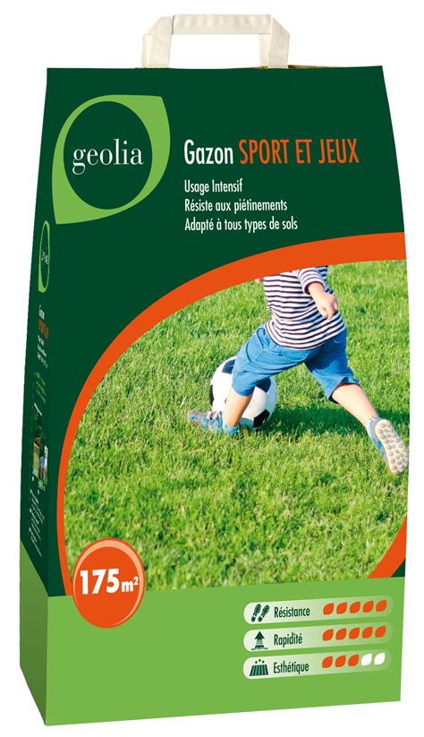 Sachet de semences de gazon Geolia Sport et Jeux