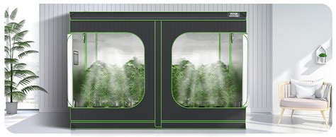 Illustration d'une armoire de culture intérieure avec des plantes de cannabis autoflorissantes