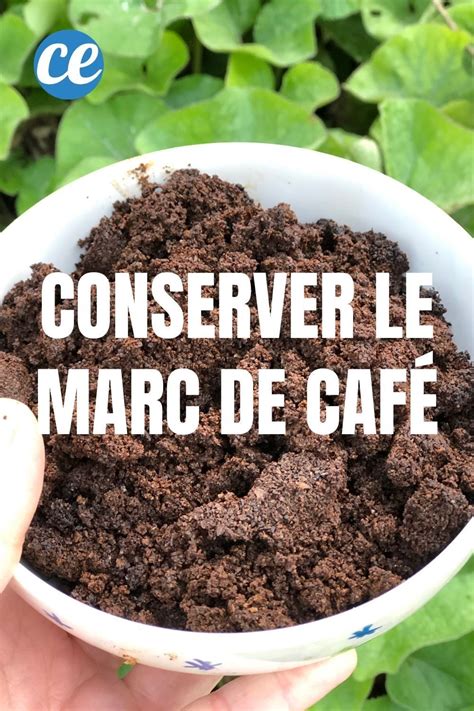Nutriments du marc de café