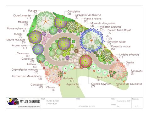 Plan de jardin avec des zones pour plantes mellifères