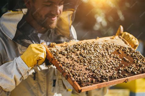 Apiculteur nourrissant des abeilles