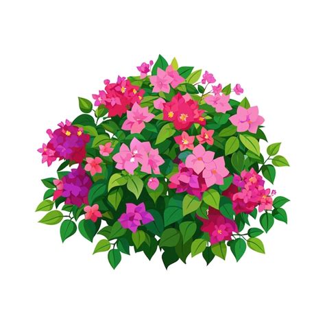 Illustration d'un buisson de lantana en fleurs