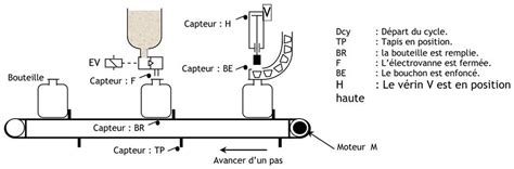 Schéma de remplissage de pot pour autofloraison