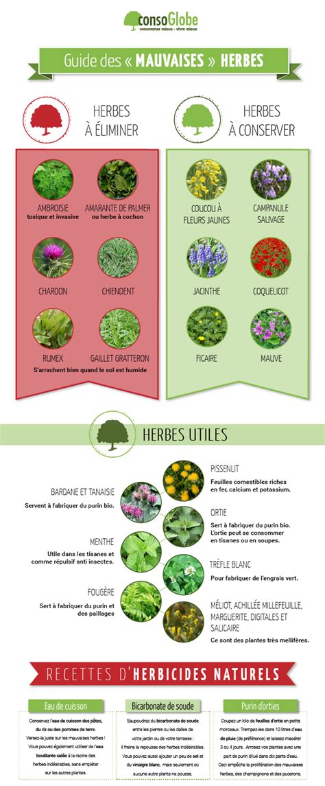 Tableau d'identification des mauvaises herbes annuelles