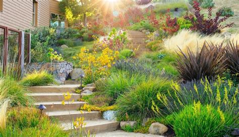 Schéma d'organisation d'un jardin durable et facile d'entretien