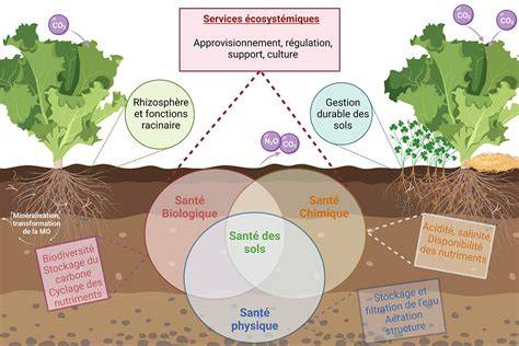 Graphique des périodes idéales de travail du sol selon les saisons