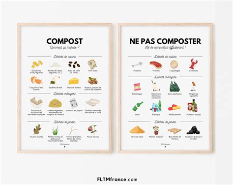 illustration des différentes matières compostables
