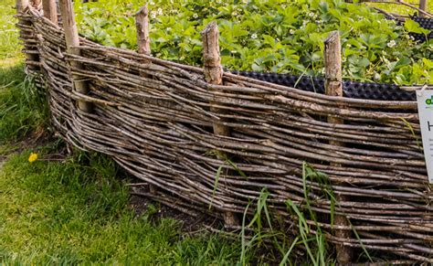 illustration du tressage de branches pour créer une bordure de carré potager