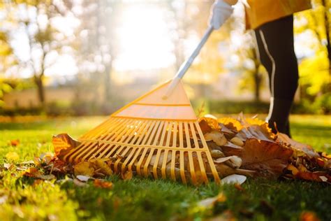 Personne ratissant les feuilles mortes sur une pelouse