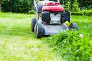 Conseils pour rénover une pelouse endommagée