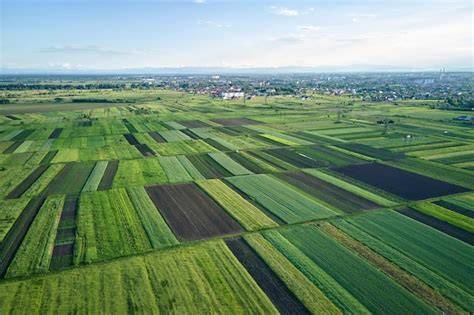Paysage de maraîchage en Haute-Garonne avec serres et champs cultivés