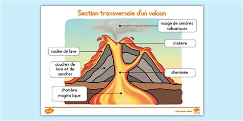 Schéma explicatif du point d'écrevisse traditionnel