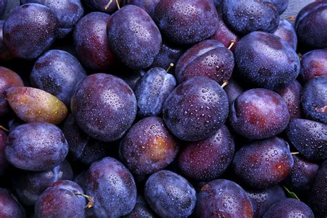 Photo macro d'une prune mûre avec sa pruine caractéristique