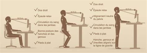 Schéma illustrant la hauteur de travail confortable et la hauteur de cueillette maximale