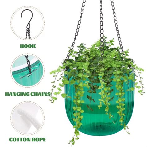 Paniers suspendus avec des plantes