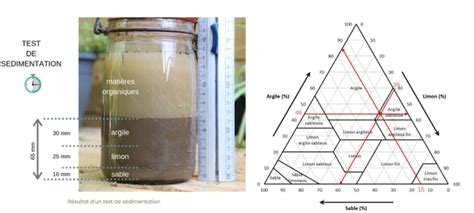 Diagramme du test du bocal : décantation des particules de sol (sable, limon, argile)