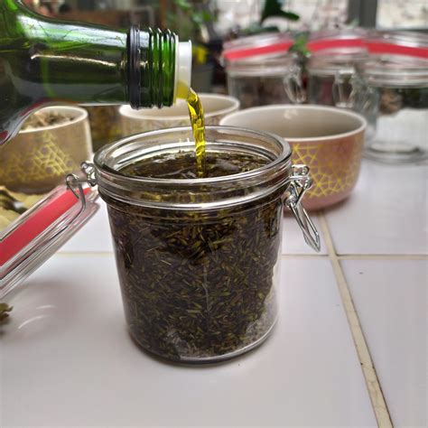 Branches de saule en cours de macération dans un récipient en verre