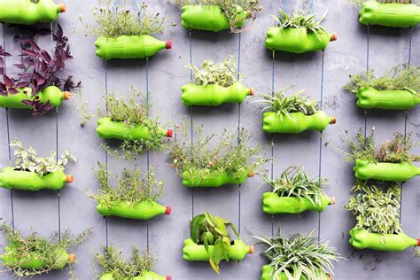 Vue d'ensemble d'un jardin urbain utilisant des bouteilles plastiques recyclées en jardinières suspendues