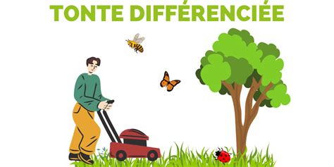 Schéma montrant l'importance de la hauteur de tonte pour étouffer les mauvaises herbes