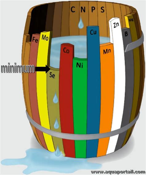 Schéma illustrant la loi du minimum avec un tonneau dont les douves représentent les nutriments, le niveau d'eau étant limité par la douve la plus courte