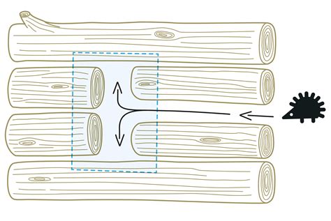 Schéma d'un abri à hérisson avec tunnel d'entrée et isolation