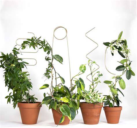 Tuteurs décoratifs pour plantes grimpantes