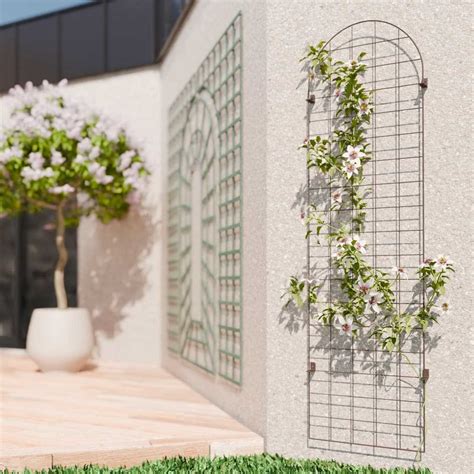 installation d'un treillis pour une plante grimpante