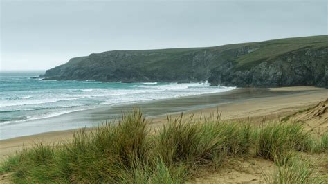 paysage côtier atlantique avec végétation résistante