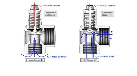 Diagramme éclaté de la tête de coupe démontrant le réglage de la lame et le graissage des portées