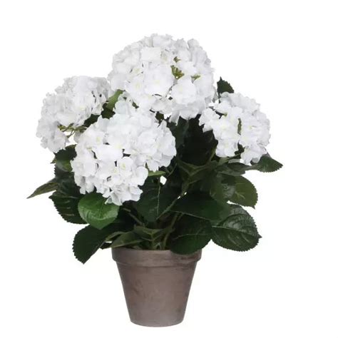 Hortensia artificiel blanc en pot sur table basse