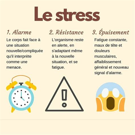 Infographie montrant les signes de santé et de détresse d'un Yucca