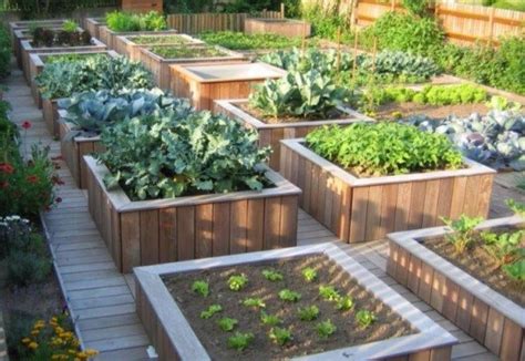 Illustration d'un potager surélevé ergonomique permettant de jardiner debout ou assis