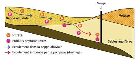 Illustration montrant l'impact des polluants chimiques sur la nappe phréatique