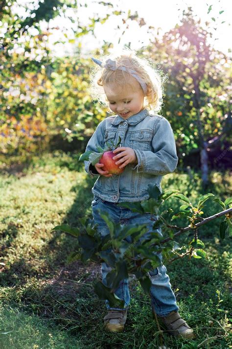 Famille cueillant des pommes dans un verger