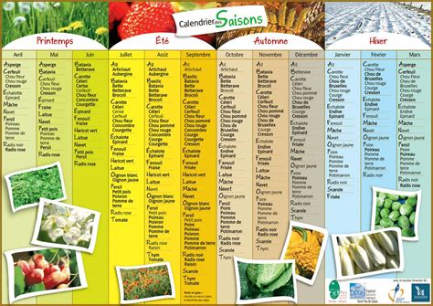 Tableau des saisons de cueillette des fruits et légumes