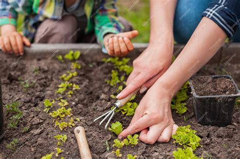 Enfant jardinant avec des outils adaptés dans un petit potager urbain