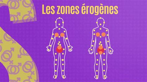 Carte des zones érogènes du corps humain