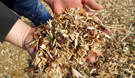 broyat pour le compost