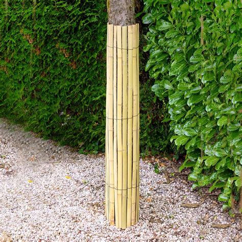 Photographie montrant une protection de tronc réalisée avec des lattes de bois reliées par du fil de fer