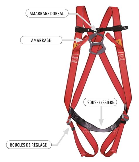 Vue détaillée du rembourrage dorsal et des points de fixation du harnais RAC 805