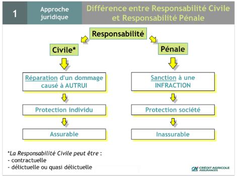 Diagramme comparatif entre responsabilité civile et pénale du mandataire