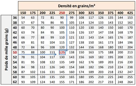 Infographie sur l'impact de la densité de semis sur le rendement